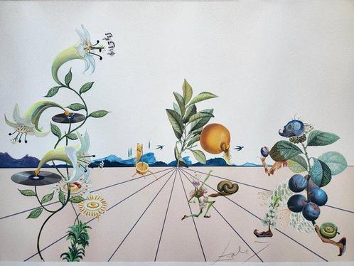 Salvador Dali (1904-1989) - Flordali I, Antiek en Kunst, Antiek | Overige Antiek