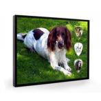 Springer Spaniel hond plectrumdisplay, Ophalen of Verzenden, Nieuw, Hond of Kat, Overige typen