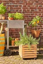 2dekans | Mica Decorations Glenwood Plantenbak Vierkant op, Ophalen of Verzenden, Zo goed als nieuw