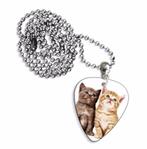 Plectrum ketting of keychain met afbeelding van 2 kittens, Ophalen of Verzenden, Nieuw