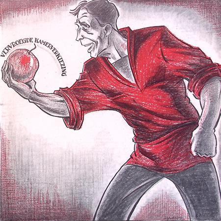 De SDAP en vervroegde kamerverkiezingen op spotprent, Antiek en Kunst, Kunst | Litho's en Zeefdrukken, Verzenden