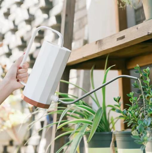 RVS Plantengieter 1000ml - Gebogen Mond voor Bonsai Tuin, Tuin en Terras, Gieters, Nieuw, Verzenden