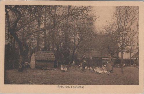 GELDERLAND - Geldersch Landschap, Verzamelen, Ansichtkaarten | Nederland, Verzenden