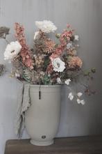 Brynxz Delphinium sweet orange 90 cm, Huis en Inrichting, Ophalen of Verzenden, Nieuw