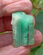 Ruw smaragdgroen kristal 68,50 karaat - Hoogte: 27 mm -