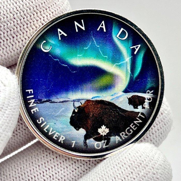 Canada. 20 Dollars 2020 – Polar Lights – Wood Buffalo Park, Postzegels en Munten, Munten | Europa | Niet-Euromunten