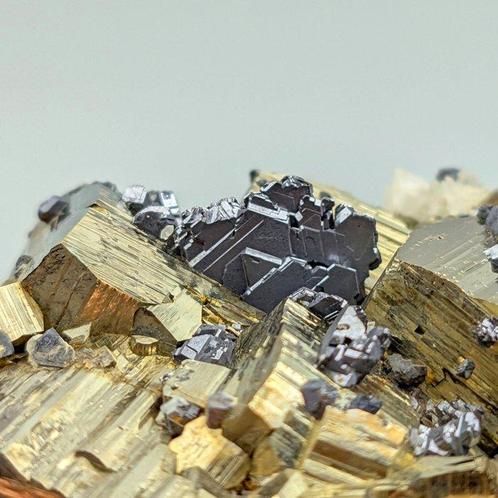 Gouden Pirietesthetiek met Galena in interlocking Kristallen, Verzamelen, Mineralen en Fossielen