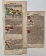 Sebastian Münster - Cosmographia - 1590, Antiek en Kunst