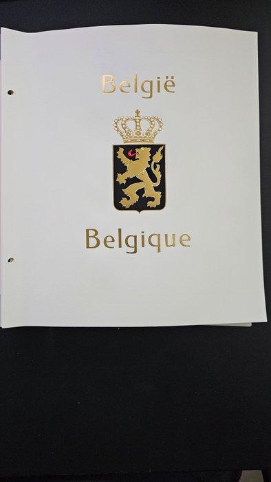 België 1849/1949 - DAVO LX I deels gevuld in nieuwstaat !, Postzegels en Munten, Postzegels | Europa | België