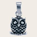 Zilveren Uil ketting hanger, Ophalen of Verzenden, Nieuw