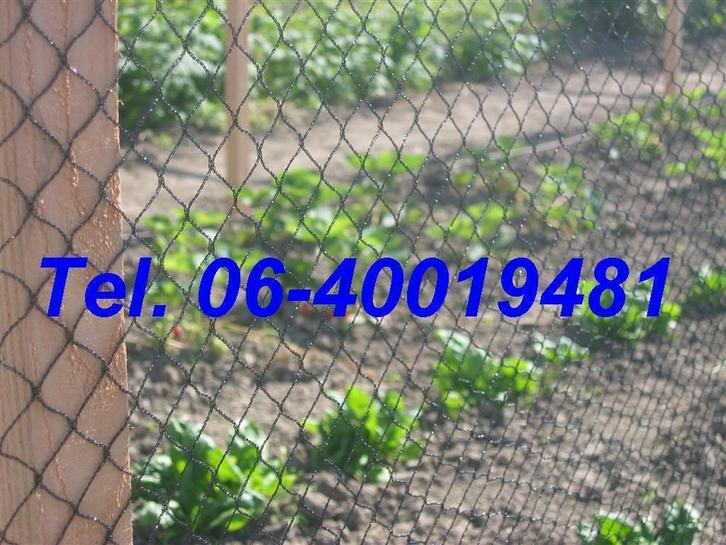 Vogelnet, zware kwaliteit vogelnetten, Dieren en Toebehoren, Pluimvee | Toebehoren, Kippenhok of Kippenren, Nieuw, Ophalen of Verzenden