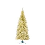 Black Box Trees - Colchester x-mas tree champagne TIPS 729 -