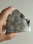 Campo del Cielo meteorite IJzer meteoriet - 9�8.5�0.51 cm -