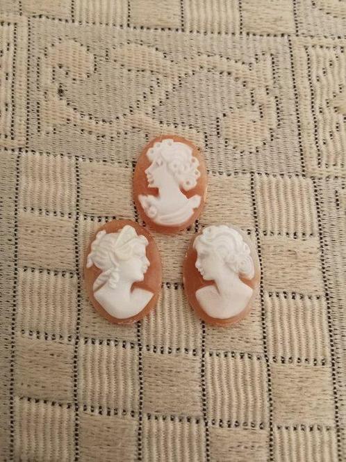 Cassis Rufa Schelp Cameo - Cameo - Oude uit Torre Del Greco, Verzamelen, Dierenverzamelingen
