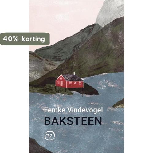 Baksteen 9789028213081 Femke Vindevogel, Boeken, Romans, Zo goed als nieuw, Verzenden