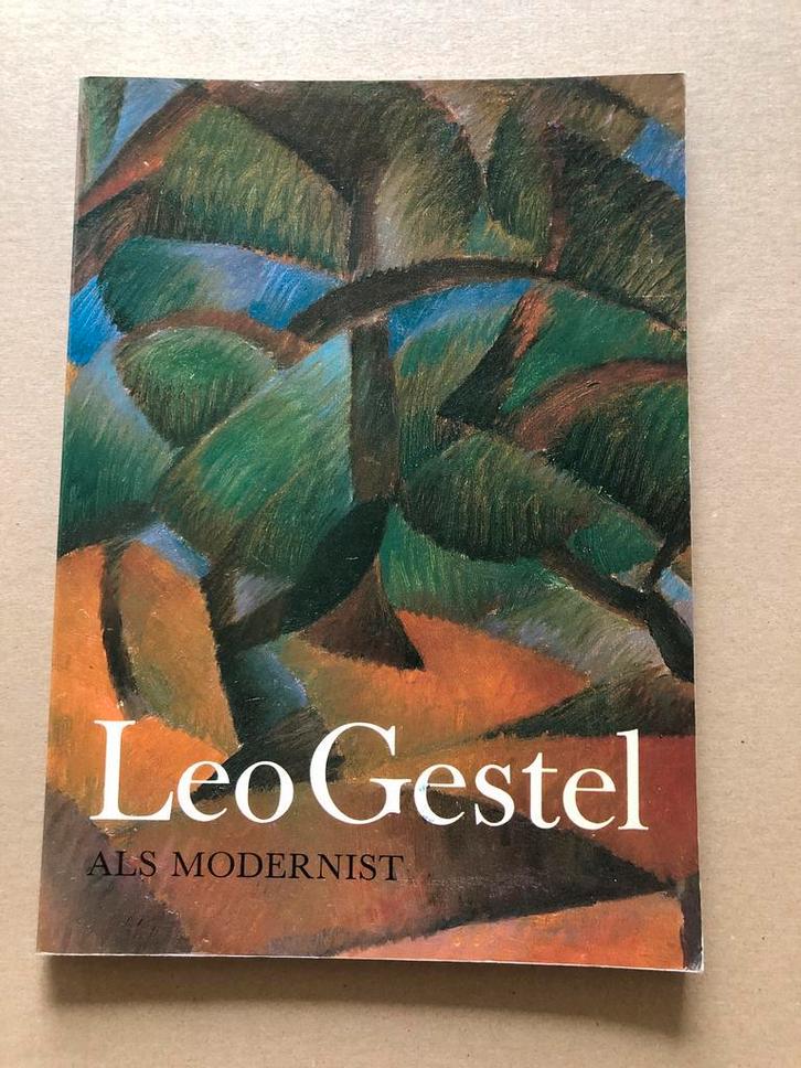 Leo van Gestel - Het Modernistische Werk (werken 1907-1922), Boeken, Kunst en Cultuur | Beeldend, Gelezen, Schilder- en Tekenkunst
