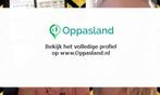 Melvin zoekt een oppas in Heemstede voor 1 kind.