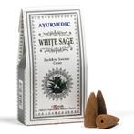Wierookkegels Witte Salie voor Backflow, Huis en Inrichting, Woonaccessoires | Overige, Ophalen of Verzenden, Nieuw
