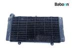 Radiateur Honda ST 1100 Pan European (ST1100 ST1100A), Motoren, Onderdelen | Honda, Verzenden, Gebruikt
