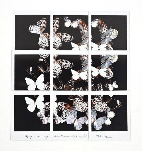 Maurizio Galimberti (1956) - Butterfly, Antiek en Kunst, Kunst | Schilderijen | Modern