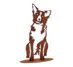 Tuinbeeld  Jaap de zittende Border collie Frame 36 cm, Verzenden, Nieuw
