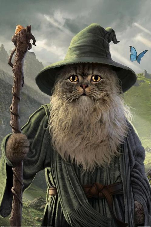 Poster Catdalf 61x91,5cm, Verzamelen, Posters, Nieuw, A1 t/m A3, Verzenden