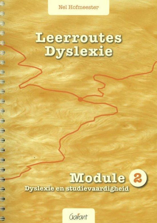 9789044132045 Leerroutes Dyslexie Module 2 dyslexie en st..., Boeken, Schoolboeken, Nieuw, Verzenden