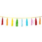 Tassel Slinger Gekleurd 3m, Verzenden, Nieuw