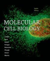 Molecular Cell Biology 9781464183393, Boeken, Studieboeken en Cursussen, Zo goed als nieuw, Verzenden