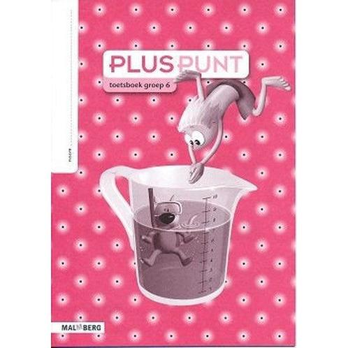 Pluspunt versie 3 Toetsboek groep 6 (per stuk), Boeken, Schoolboeken, Nieuw, Verzenden