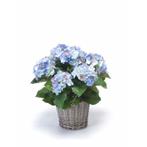 Kunstplant blauwe Hortensia in mand 45 cm - Kunst hortensia, Ophalen of Verzenden
