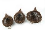 Salim Eendenkorven naturel-Planter set van 3, Ophalen of Verzenden, Nieuw
