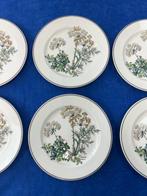 Villeroy & Boch - Tafelservies (6) - Vitro