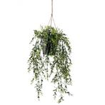 Emerald Kunstplant hangend in pot buxus 50 cm, Tuin en Terras, Nieuw, Verzenden