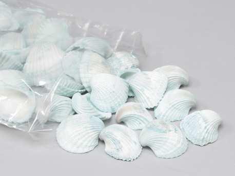 Chippy Pastel schelpen blue washed, 1 kilo, Hobby en Vrije tijd, Knutselen, Nieuw, Ophalen of Verzenden