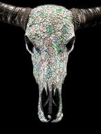 GEEN MINIMUMPRIJS - Prachtige grote buffelschedel met