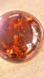 Barnsteen - Baltic Amber Sphere with Bee inclusions - 90 mm, Nieuw