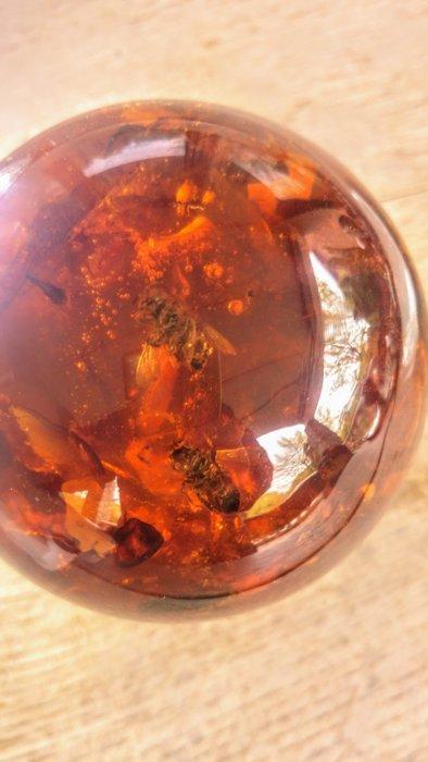 Barnsteen - Baltic Amber Sphere with Bee inclusions - 90 mm, Verzamelen, Dierenverzamelingen
