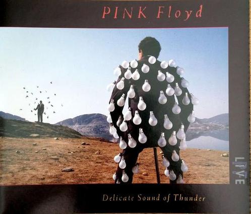 cd - Pink Floyd - Delicate Sound Of Thunder, Cd's en Dvd's, Cd's | Overige Cd's, Zo goed als nieuw, Verzenden