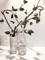 Rosenthal, Thomas - Tapio Wirkkala - Vaas (3) - Blossom, Antiek en Kunst