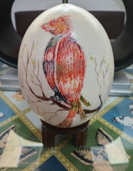 Struisvogel Ei - Avestruz - 22 cm - 43 cm - 12 cm - (1), Antiek en Kunst, Curiosa en Brocante