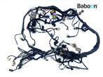 Kabelboom Benelli TNT 1130 Naked 2006-2007 TN0000, Verzenden, Gebruikt