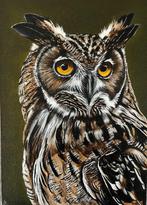 Miranda Assink (1970) - Oehoe