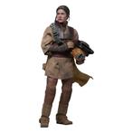 Star Wars Episode VI Action Figure 1/6 Leia Organa (Boushh D, Verzamelen, Star Wars, Ophalen of Verzenden, Nieuw