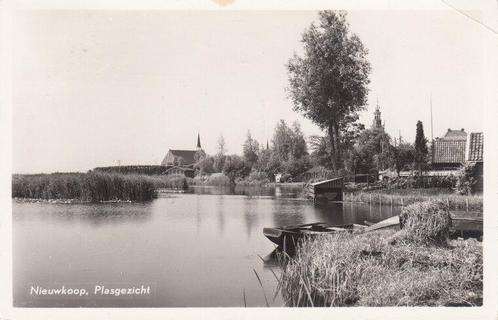 NIEUWKOOP - Plasgezicht, Verzamelen, Ansichtkaarten | Nederland, Verzenden