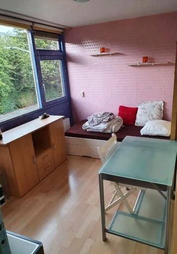 Kamer te huur Mahlerstraat, Leiden beschikbaar voor biedingen