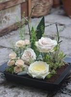 Oasis® terrabrick™ floral media 11,43x11,45x5 cm 8 pcs voor, Ophalen of Verzenden, Nieuw