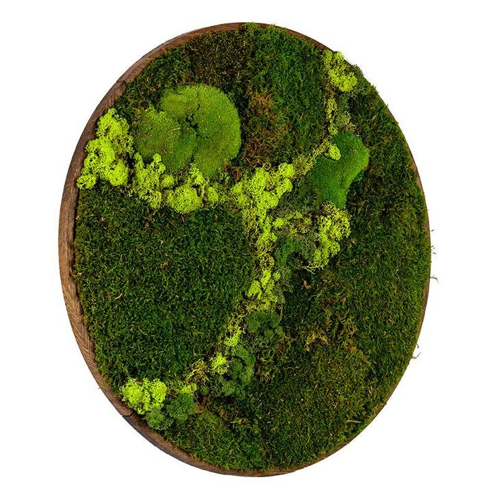 Vintlux Mosschilderij Rond 100 cm Donker Eiken - Svendborg, Huis en Inrichting, Woonaccessoires | Wanddecoraties