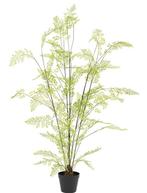 Kunstplant ‘Fern’ | 140cm, Ophalen, Nieuw