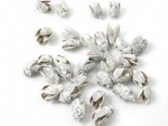 Bakuli White Wash 1 kilo, Hobby en Vrije tijd, Knutselen, Nieuw, Ophalen of Verzenden